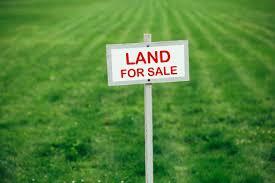 Colliers: Land continues to be a strategic investment despite the uncertainty in the economic and political climate