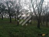 Properties to let in Land for sale in Valcele, with utilities next to the land and a special peace!