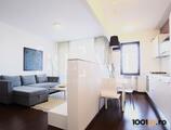Properties to let in 2 room apartment for rent Baneasa, Aleea Privighetorilor
