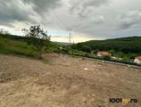 Properties to let in Duplex unit in Feleac in the forest, on the beautiful Valea Capriorii! 0% commission!