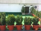 Properties to let in Spacious 5-room apartment in Alba Iulia Square!