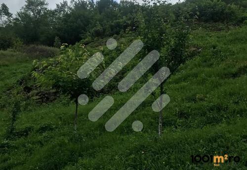 Properties to let in Teren intravilan - 5800 mp - ideal pt constructii, la 5 km de Cluj!