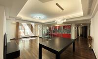 Luxury Apartment