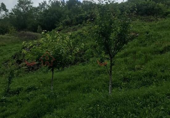 Inner city land - 5800 sqm - ideal for construction, 5 km from Cluj!